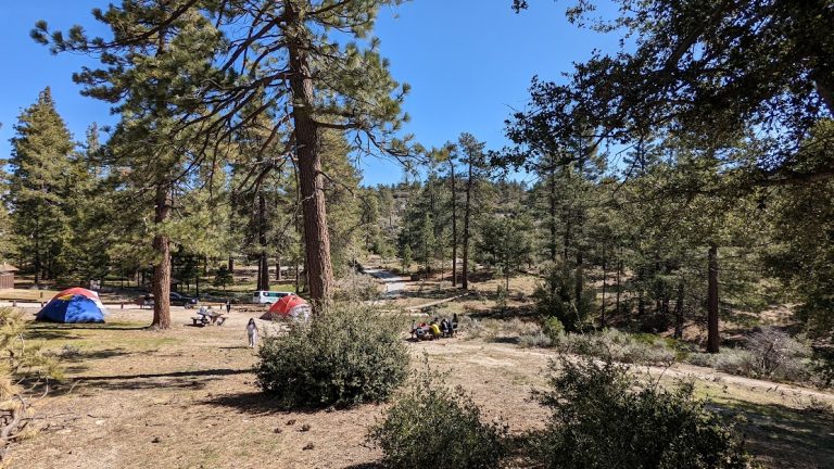 The 16th Sunshine Summer Camp in 2023